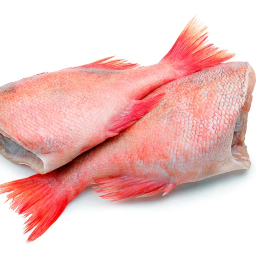 Red Bream Fish