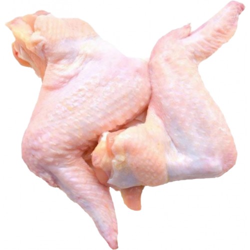 Turkey Fullwings