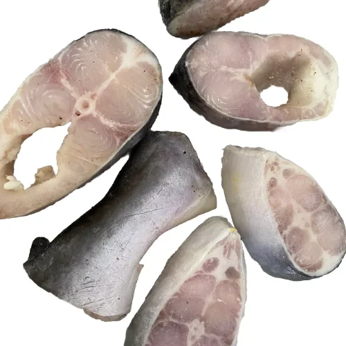 pangasius fish