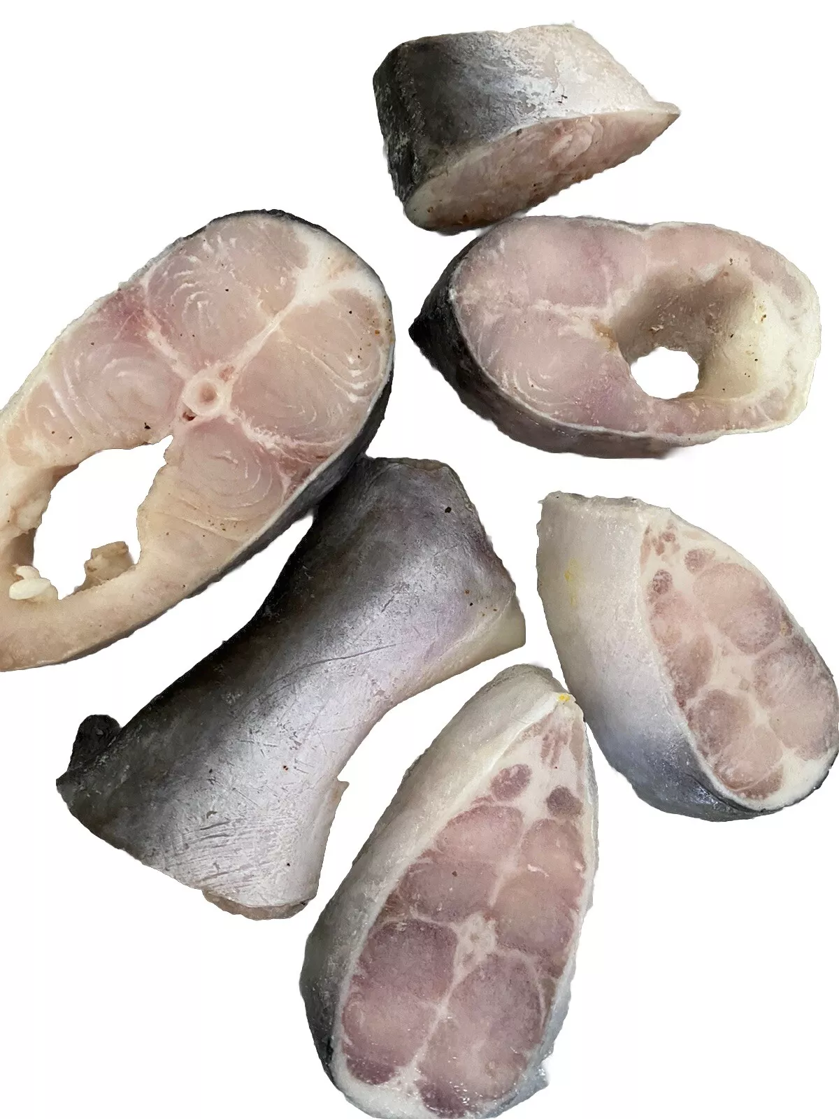 pangasius fish