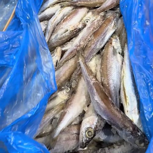 Quarter