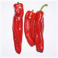 Tatashe (Long Pepper)